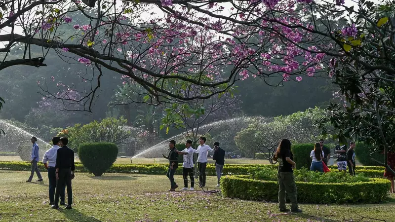 11-Day Flower Show at Bengaluru's Cubbon Park Begins November 27