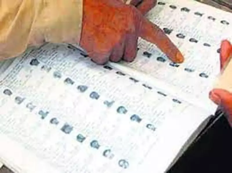 206 Candidates in Fray for Panchayat Samiti Polls in Punjab After Scrutiny