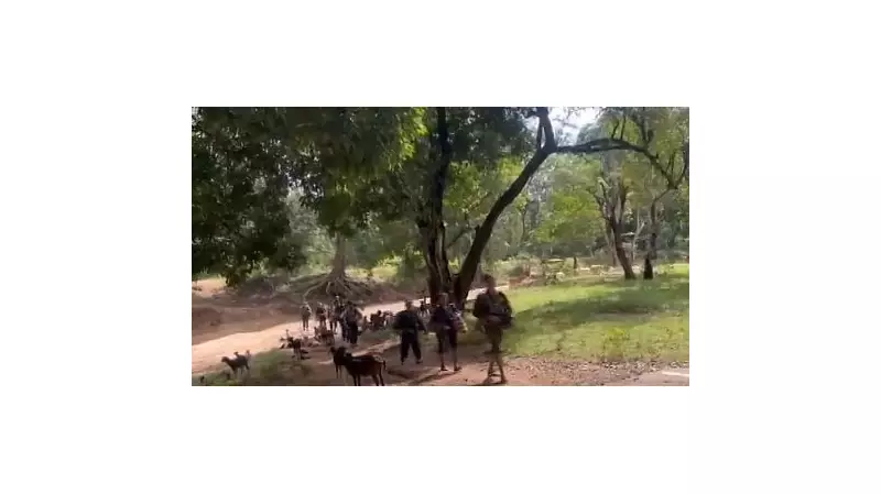 21 Naxals Surrender in Chhattisgarh's Kanker District, Hand Over Cache of Weapons Including AK-47s