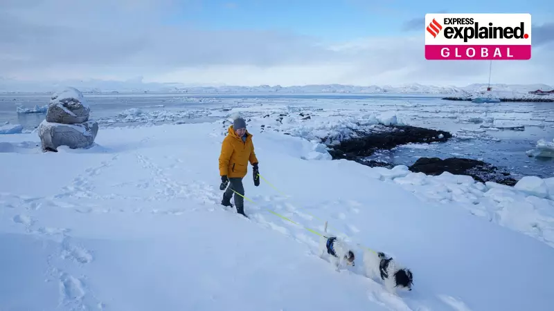 3 Key Reasons Why Greenland's Vast Mineral Wealth Remains Untapped Despite Trump's Interest