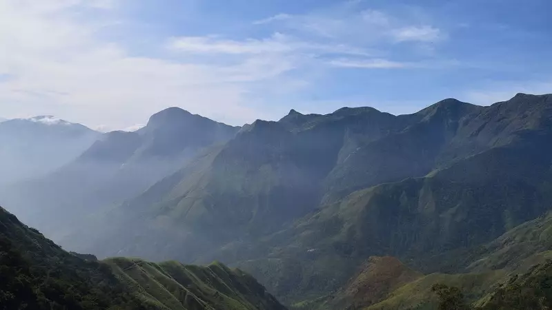 3 Most Beautiful Forest Canopies in India: Silent Valley, Buxa, Dandeli
