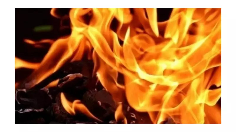 32 Cattle Perish in Nagpur Truck Fire After Tire Blowout