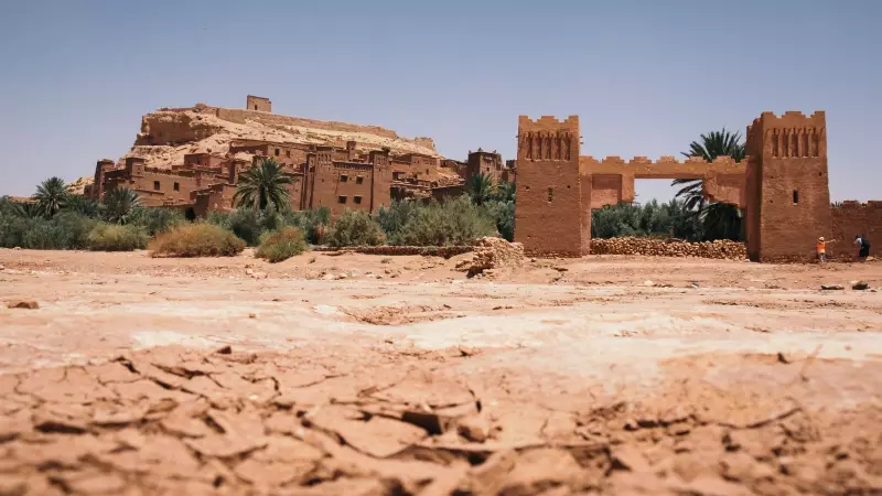 4,000-Year-Old Sudanese Grave Reveals Unique Kerma Kingdom Burial Rituals