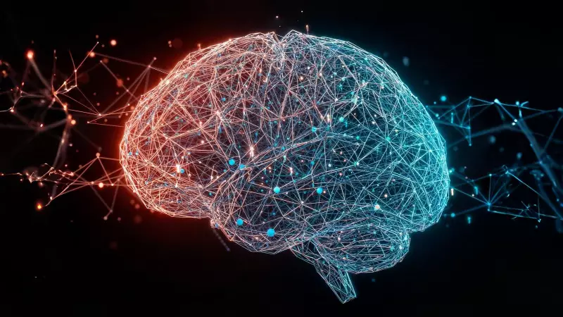 5 Critical Brain Development Stages Discovered Across Human Lifespan