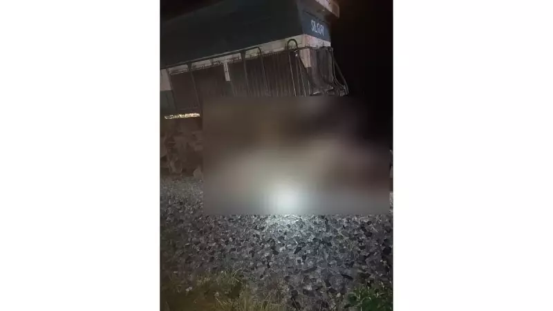 7 Elephants Killed as Rajdhani Express Derails Near Assam's Kampur