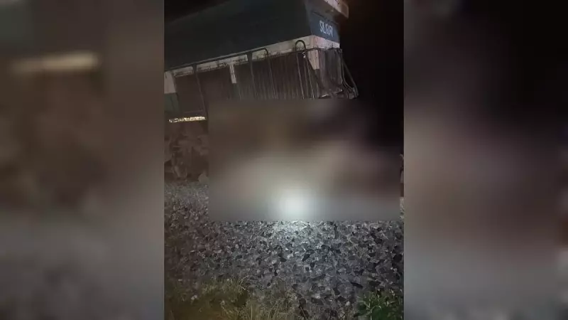 7 Elephants Killed in Assam Rajdhani Express Derailment, 5 Coaches Off Track