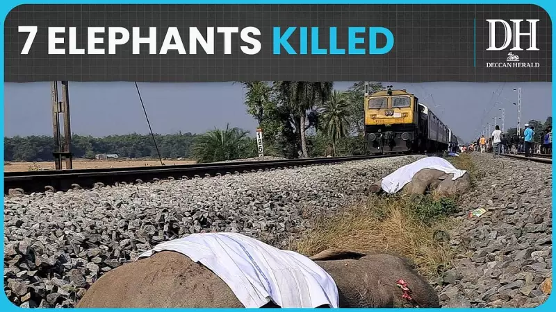 7 Elephants Killed in Tragic Collision with Rajdhani Express in Assam