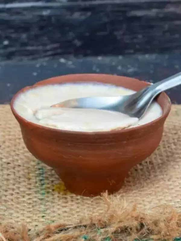 7 Healthy Curd-Based Indian Recipes for Nutritious Meals