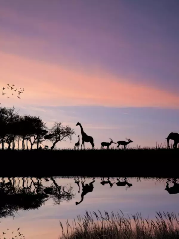 8 Best Destinations to Visit in Africa for Indian Travellers