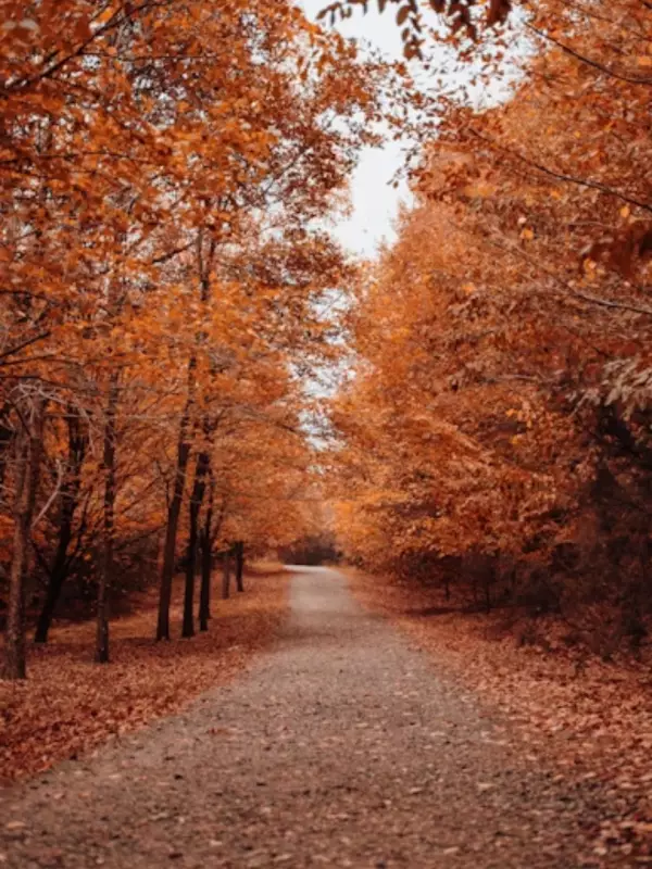 8 Breathtaking Global Destinations for Perfect Autumn Road Trips