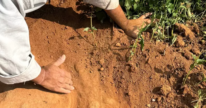 9th-Century Viragal Inscription Unearthed in Karnataka's Sankenhalli