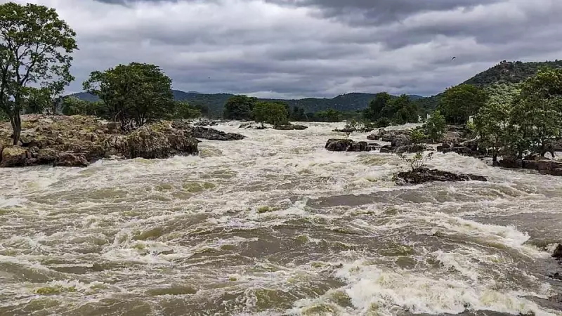 A Visual Journey Across India: Stunning Photos Capture Life, Culture, and Moments from October 25, 2025