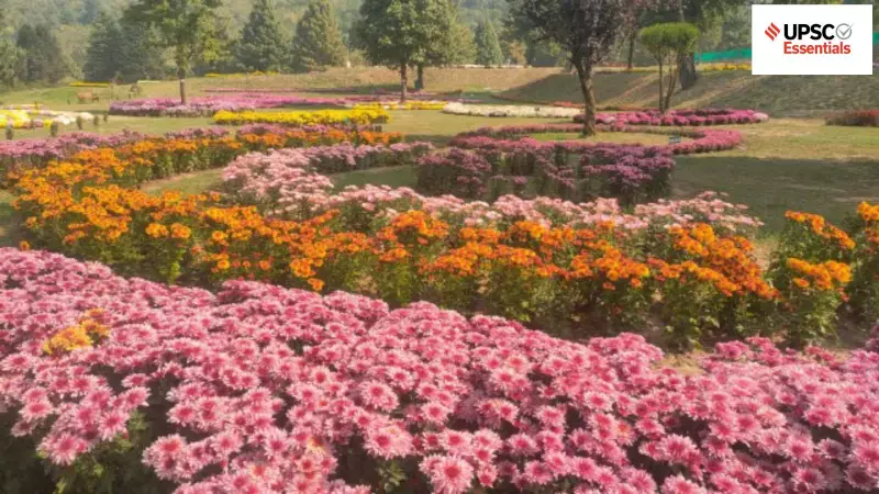 Ace Your UPSC Prep: Weekly Environment & Geography Quiz for IAS Aspirants