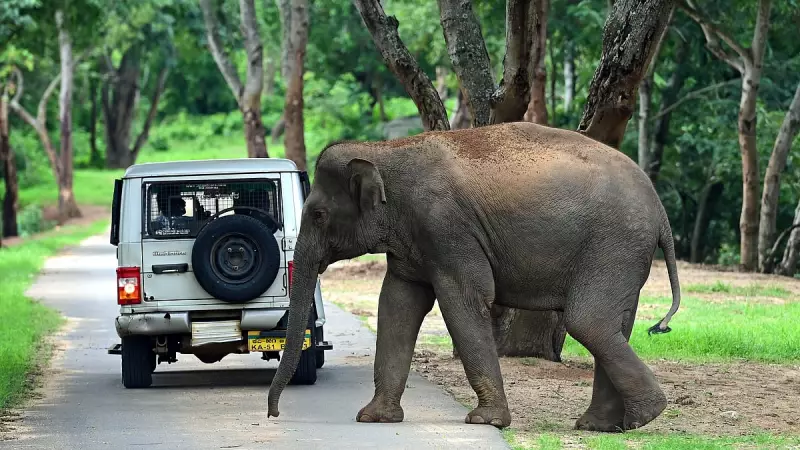Activists Challenge Bannerghatta Buffer Zone Reduction in Supreme Court