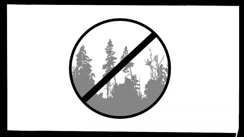 Adivasi Land Rights Clash with Forest Conservation Models in India