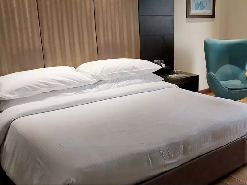 Airbnb's Game-Changing Update: New Social Features & Payment Options Just in Time for Your Holiday Getaway!