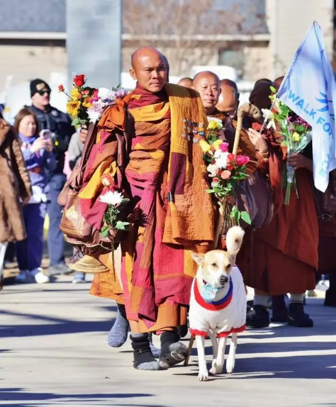 Aloka the Peace Dog: From Indian Streets to a 2300-Mile Walk for Humanity