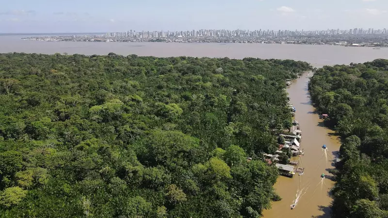 Amazon Rainforest Tipping Point: Brazilian Scientists Deliberately Starve Trees of Water in Groundbreaking Climate Experiment
