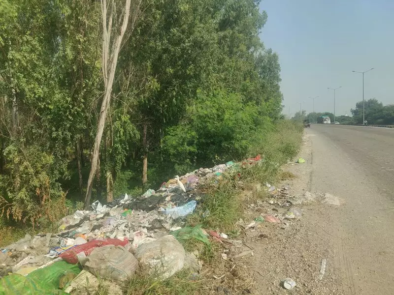 Amritsar's Bypass Roads Turn Into Garbage Dumps: Municipal Corporation Faces Public Outrage