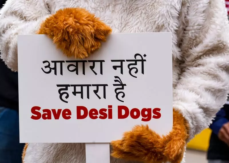 Animal Activists Protest at Jantar Mantar Against SC Order on Stray Dogs