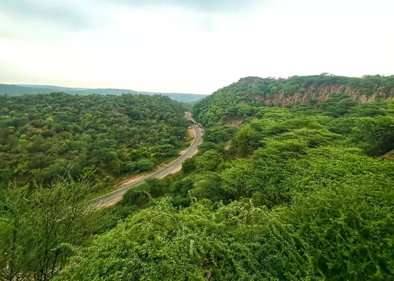 Aravalli Definition Row: A Year of Landmark Rulings Shaping Haryana's Future