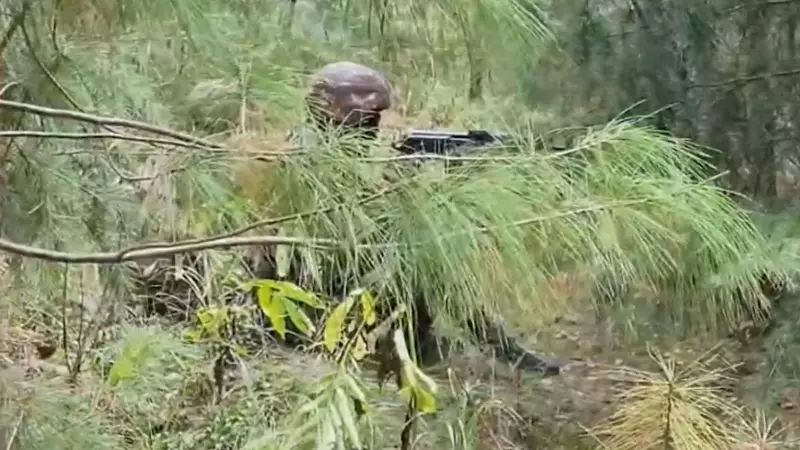 Army Thwarts Infiltration Bid in Kashmir's Keran Sector, 2 Militants Killed