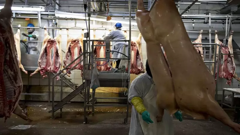 Assam Bans Pork Sales in 7 Districts as African Swine Fever Cases Surge