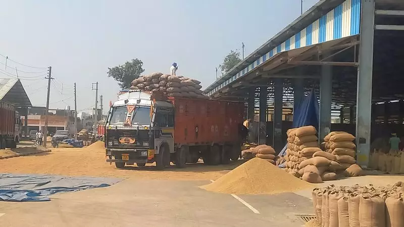 Assandh Mandi Fake Gate Pass Scam: DC Karnal Orders Probe