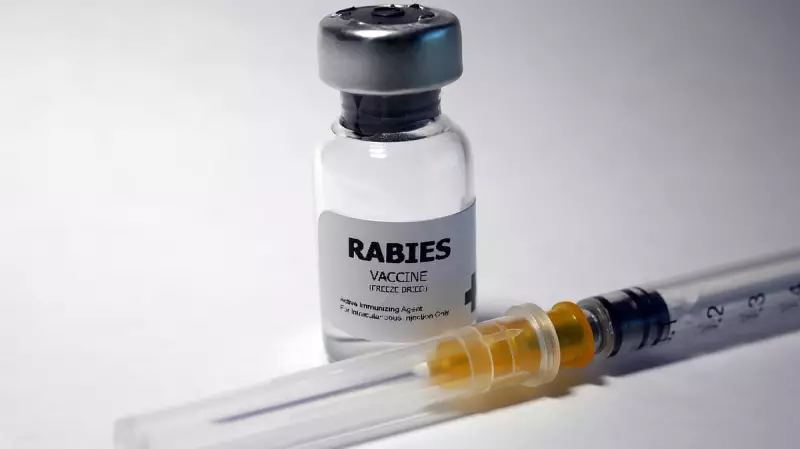 Australia Alerts on Counterfeit Rabies Vaccine in India, Manufacturer Responds