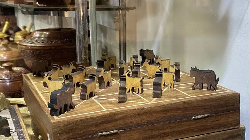 Bagh Chal Revival in Pune: Traditional Games Fight Climate Crisis