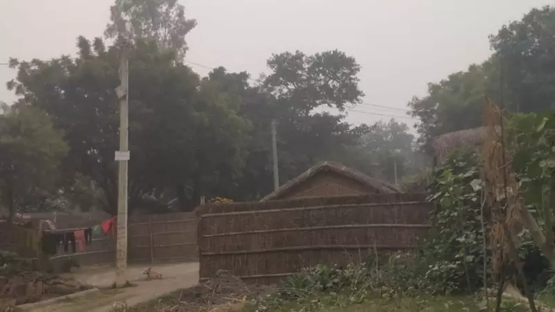 Bahraich Villages Install Doors, Lights After Wolf Attacks Kill 3 Children