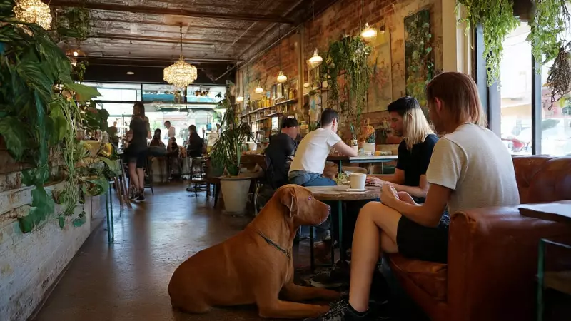 Bangalore's Top 7 Pet-Friendly Destinations: Ultimate Guide for Your Furry Friends