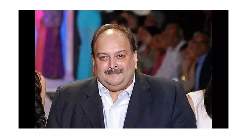Belgian Court Rejects Mehul Choksi's Fears: No Unfair Trial Risk in India, Extradition Clears Major Hurdle