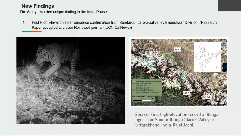 Bengal Tiger Spotted at 3,010 Metres in Uttarakhand, a Rare High-Altitude Sighting