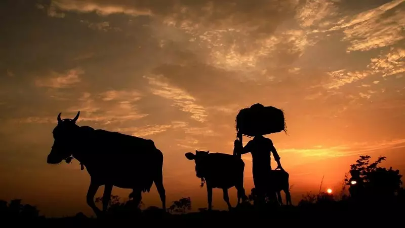 Bengaluru Farmers Issue Ultimatum: No Fair Compensation, No BBC Project