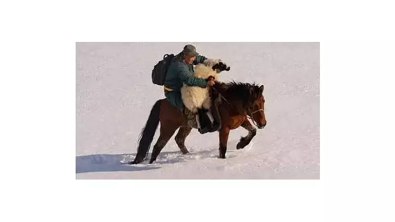 Bengaluru Hosts 2-Day Environmental Film Festival with 35 Global Films