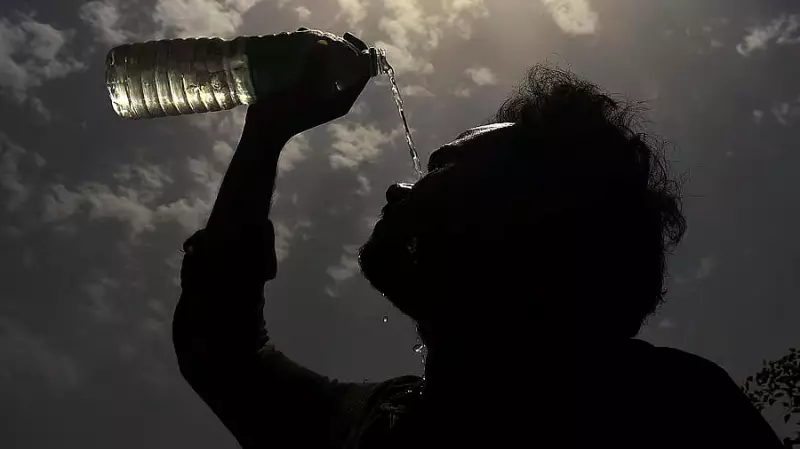 Bengaluru Joins Global Fight Against Extreme Heat: City Takes Climate Action