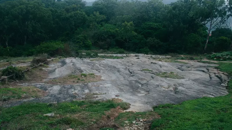 Bengaluru Land Scandal Exposed: 273 Illegal Forest Land Grants Covering 450 Acres Identified