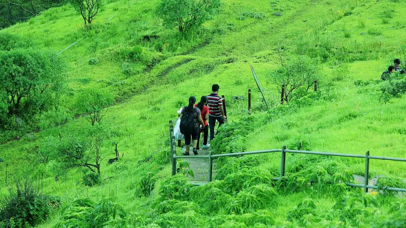 Bengaluru NGO Inclusive Trek Seeks Volunteers for Nature Hikes