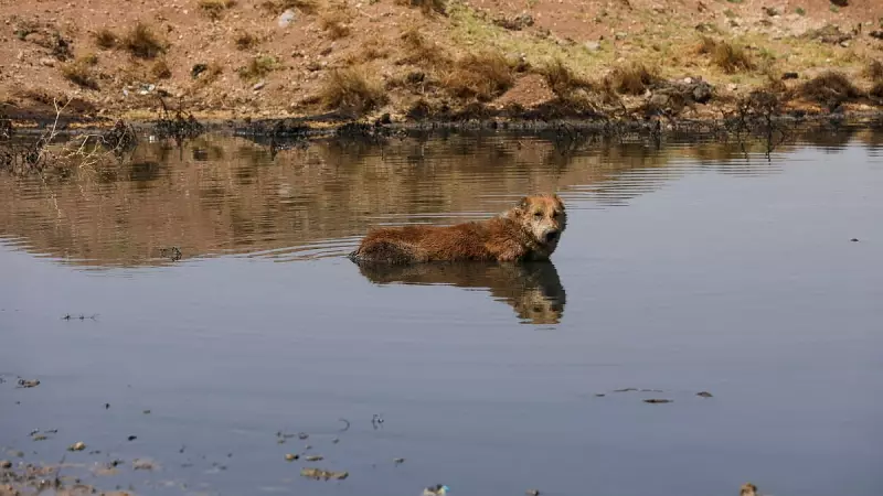 Bengaluru to Host National Summit on Wastewater Reuse: Paving the Way for Water-Smart Cities