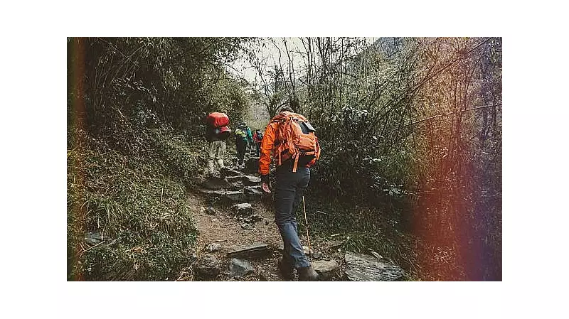 Bengaluru Trekking Alert: Why Adults Over 50 Need Medical Checks Before Hitting Trails