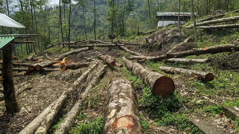 Bengaluru's Green Cover Under Threat: 380 Trees Face Axe at Yelahanka CRPF Campus
