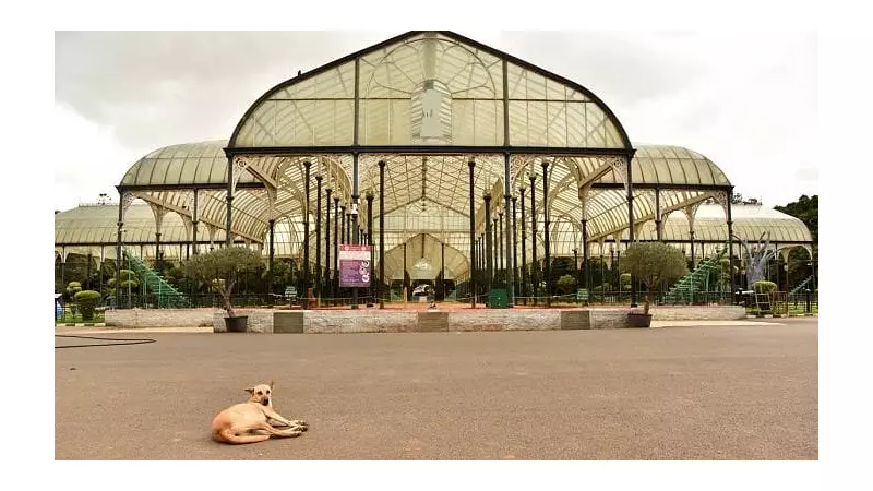 Bengaluru's Lalbagh Hosts 10-Day Wood Sculpting Camp from Today
