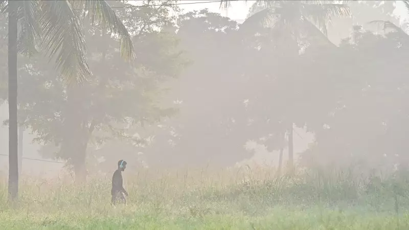 Bengaluru's Mercury Drops to 16.7°C, Winter Arrives Early