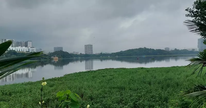 Beyond Hyacinth: Multiple Invasive Weeds Choke Mumbai's Powai Lake