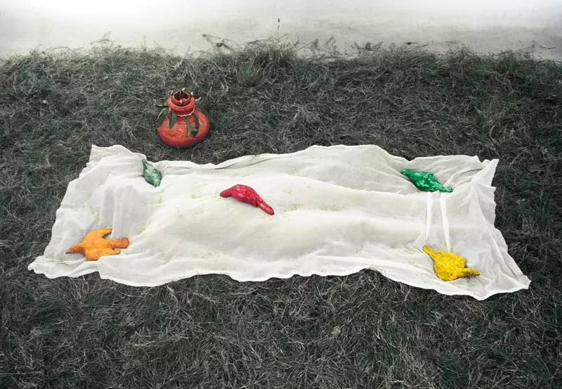 Beyond the Lens: How Photography Shapes Our World and Consciousness