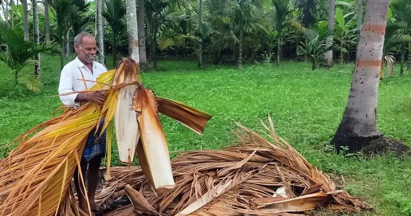 Beyond the Nut: Karnataka Innovators Transform Areca Palm Waste