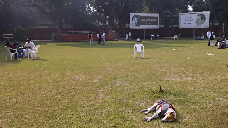 Bihar Election Analysis: Why Mahagathbandhan Lost and Key Takeaways