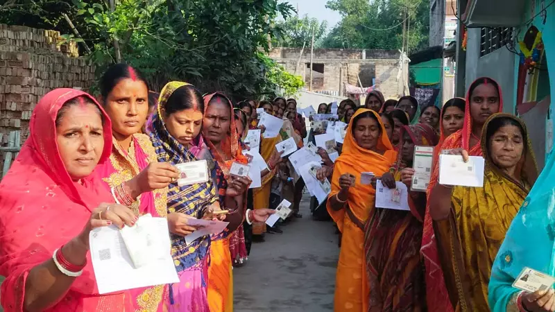 Bihar Elections 2025: NDA Sweeps High-Turnout Seats, BJP Emerges Dominant