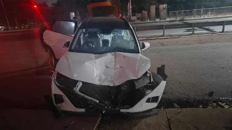 BJP MLA Renuka Singh's Son Arrested in Raipur Hit-and-Run, Granted Bail